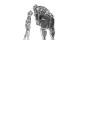 Sumo krom copy6